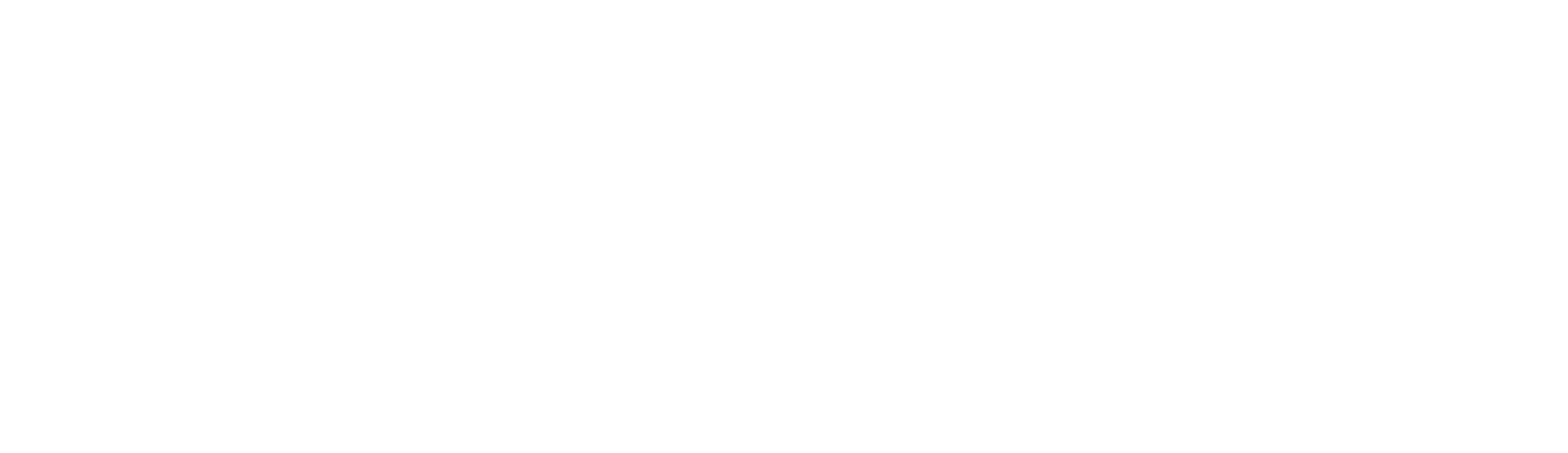 YAKAZA Bilişim